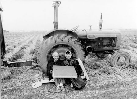 Strawberry pickers at Brooker Farm