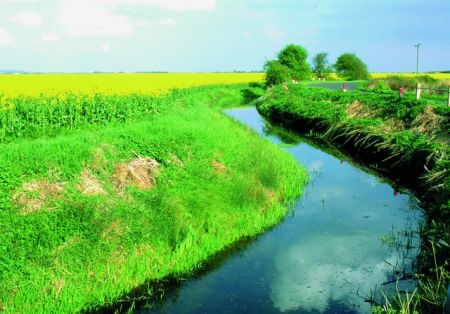 The dykes keep the land drained