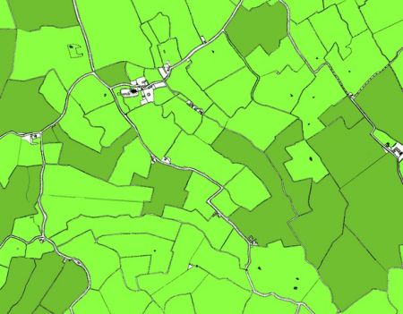Map of Newchurch showing the areas of pasture