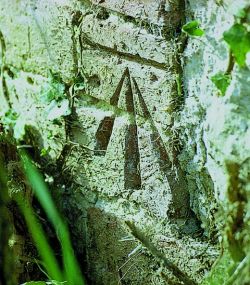BENCH-mark.jpg