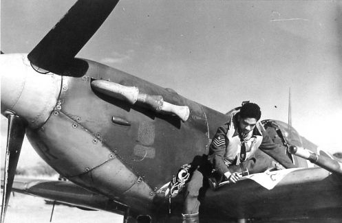 Pilots sitting on a Spitfire*